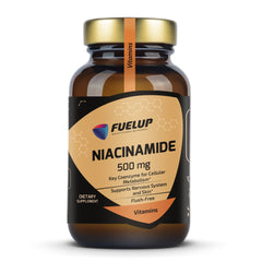 Vitamin B3 - Niacinamide 500mg